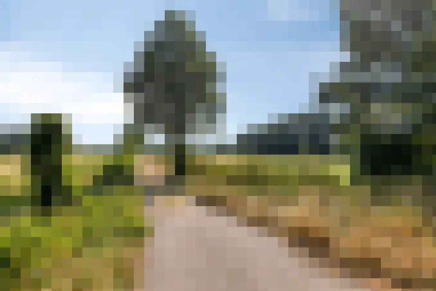 Molendijk 23 Boxmeer thumbnail 62