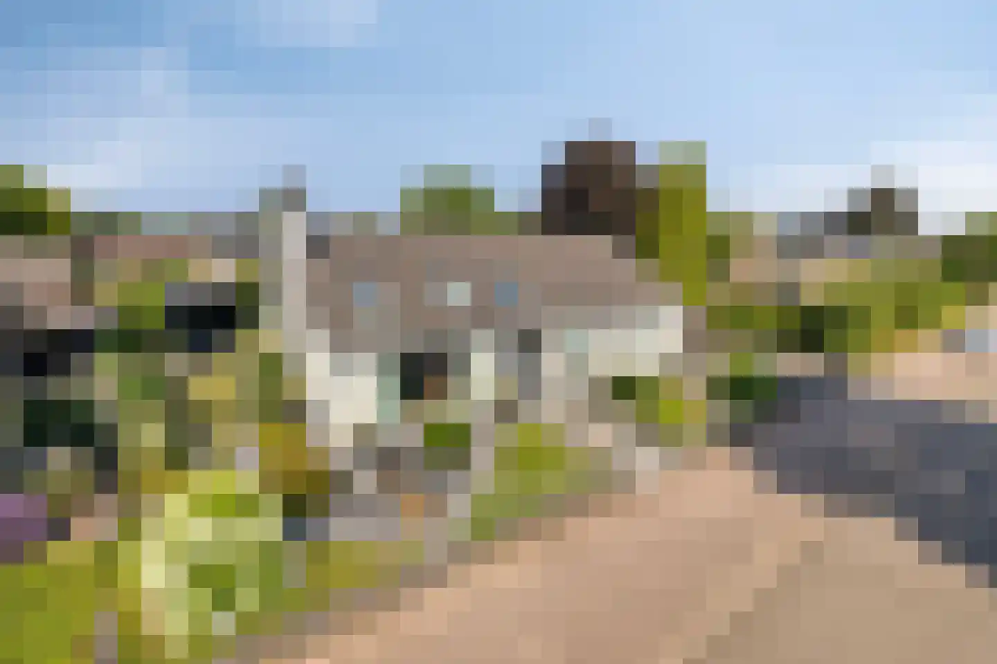 Molendijk 23 Boxmeer thumbnail 8
