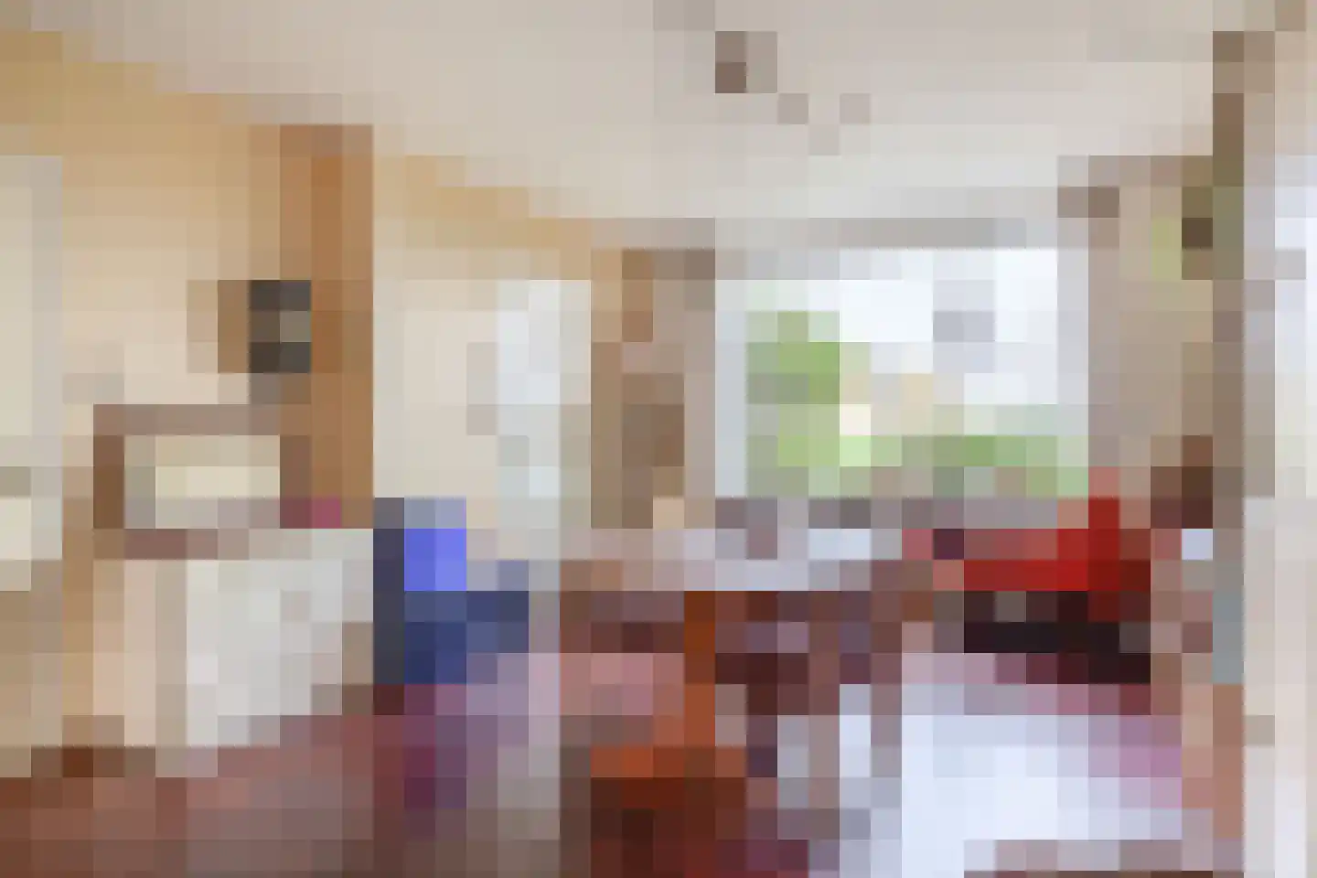 Molendijk 24 Krimpen aan de Lek thumbnail 22