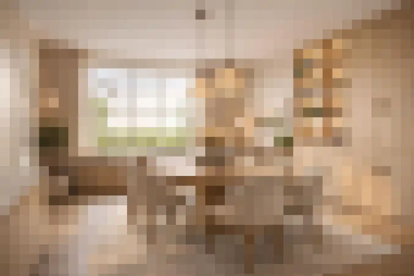 Molendijk 24 Krimpen aan de Lek thumbnail 23