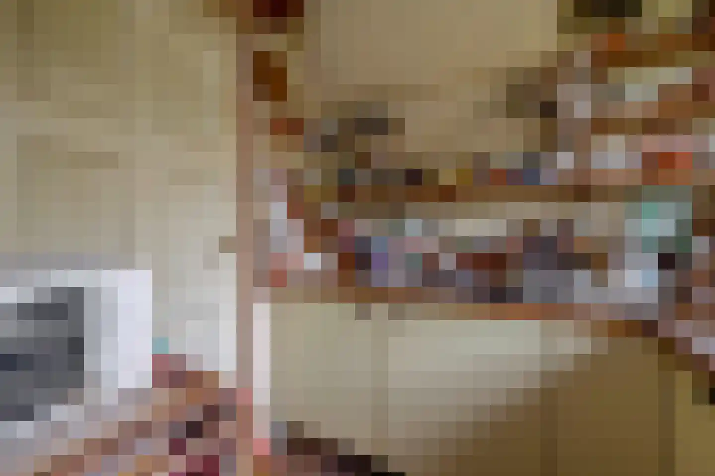 Molendijk 24 Krimpen aan de Lek thumbnail 25