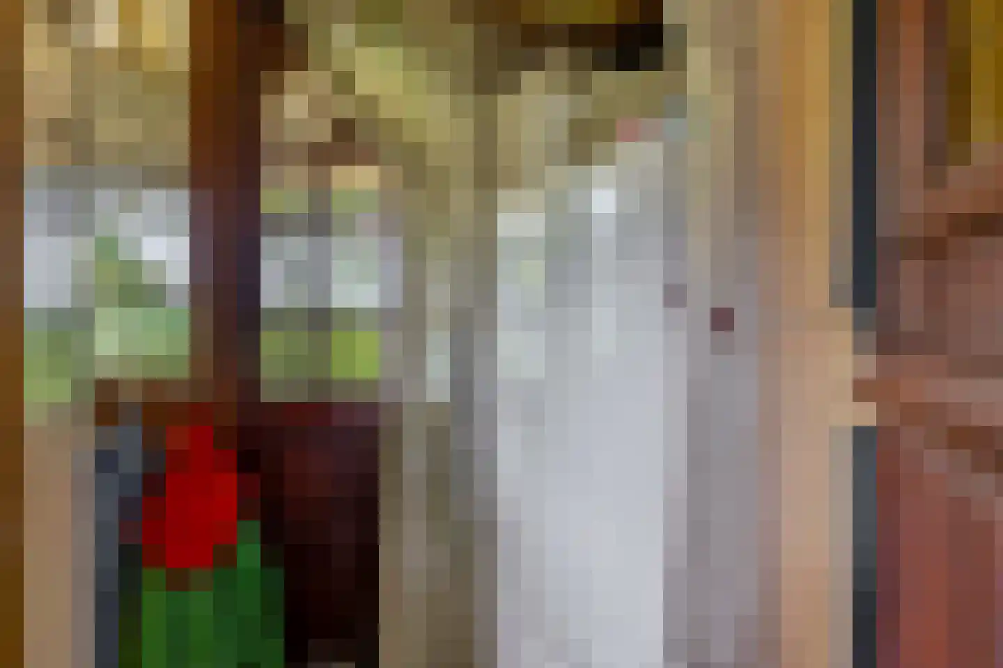 Molendijk 24 Krimpen aan de Lek thumbnail 26