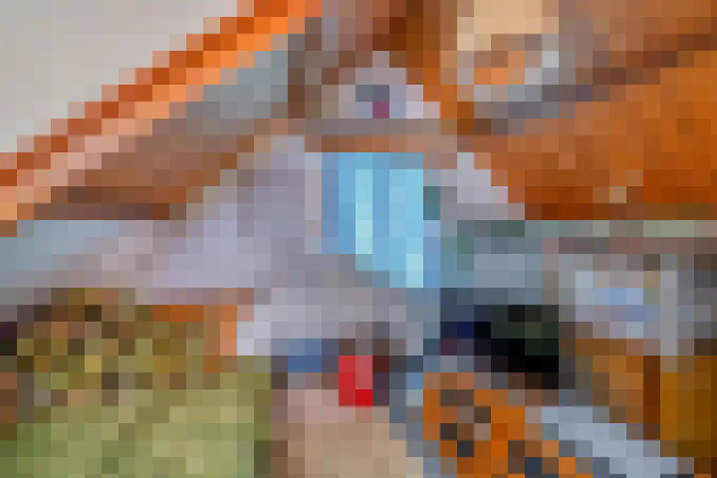 Molendijk 24 Krimpen aan de Lek thumbnail 29