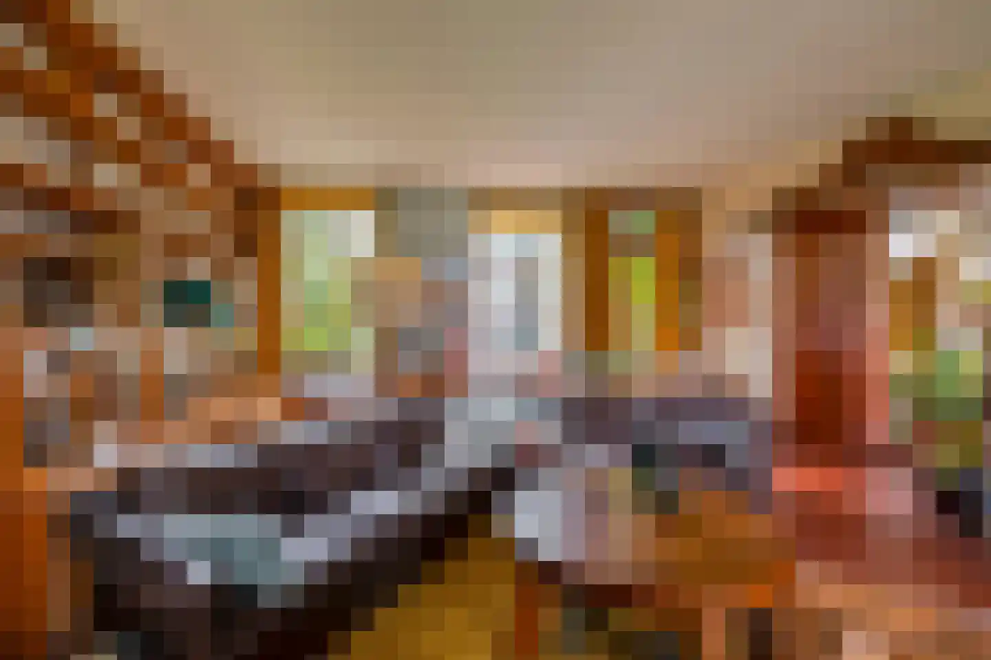 Molendijk 24 Krimpen aan de Lek foto 3