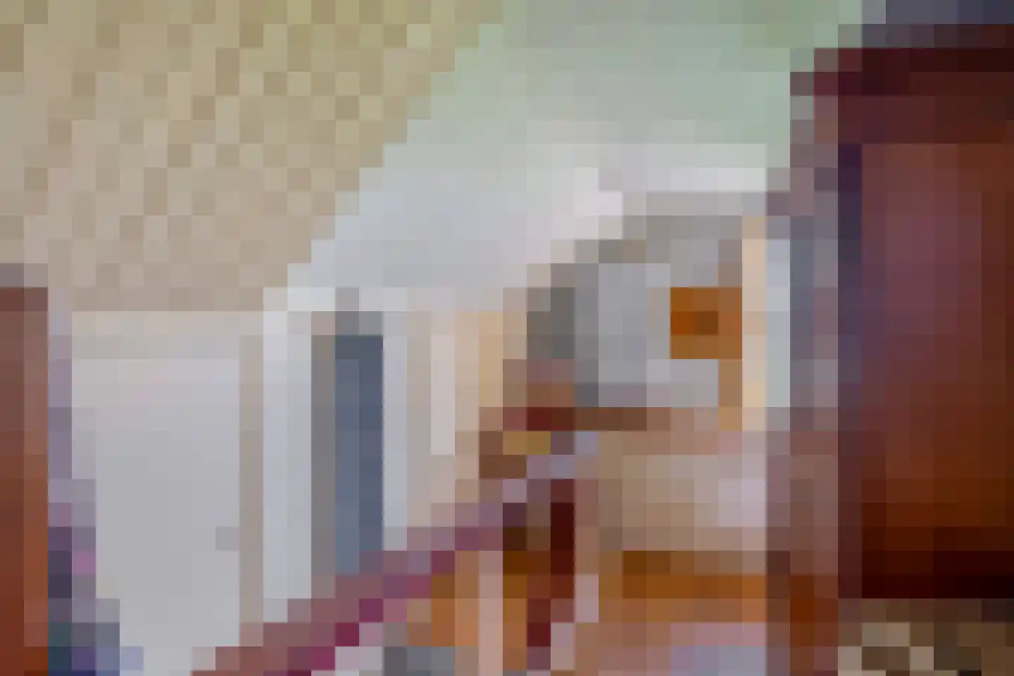 Molendijk 24 Krimpen aan de Lek thumbnail 32