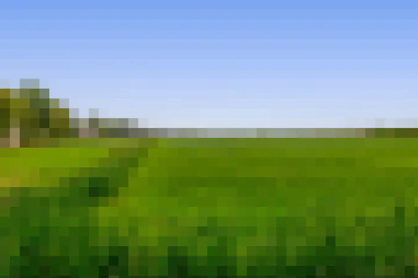Molendijk 24 Krimpen aan de Lek thumbnail 8