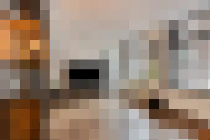 Molendijk 24 Nieuwe-Tonge thumbnail 12