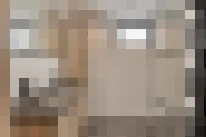 Molendijk 24 Nieuwe-Tonge thumbnail 20