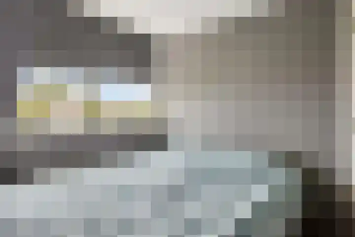 Molendijk 24 Nieuwe-Tonge thumbnail 25