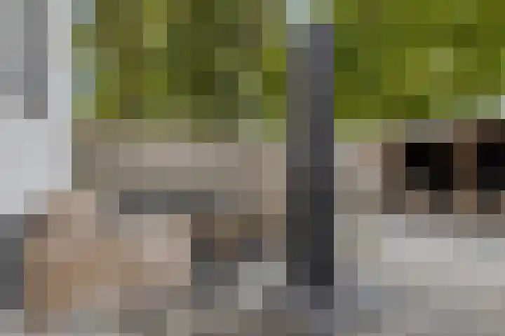 Molendijk 24 Nieuwe-Tonge thumbnail 33