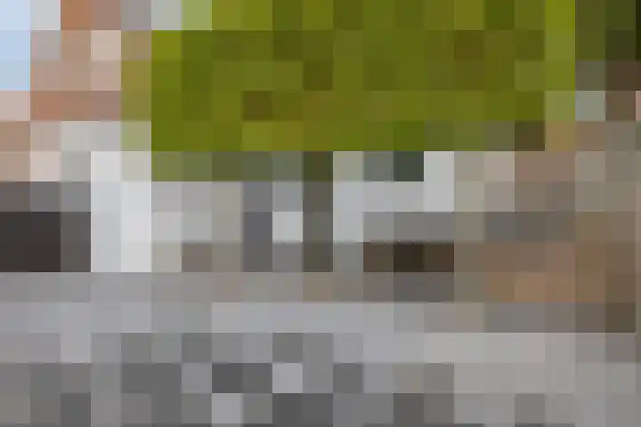 Molendijk 24 Nieuwe-Tonge thumbnail 34
