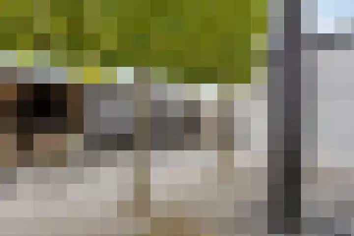 Molendijk 24 Nieuwe-Tonge thumbnail 35