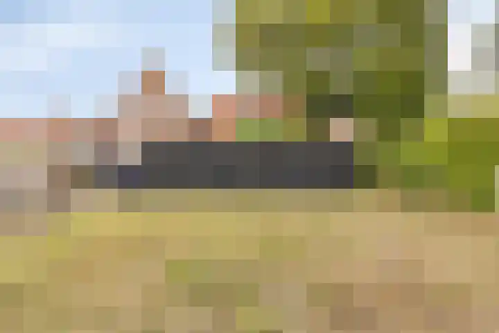 Molendijk 24 Nieuwe-Tonge thumbnail 37