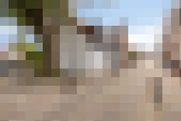 Molendijk 24 Nieuwe-Tonge thumbnail 38