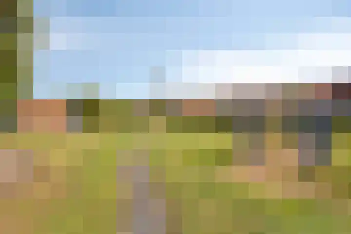 Molendijk 24 Nieuwe-Tonge thumbnail 39