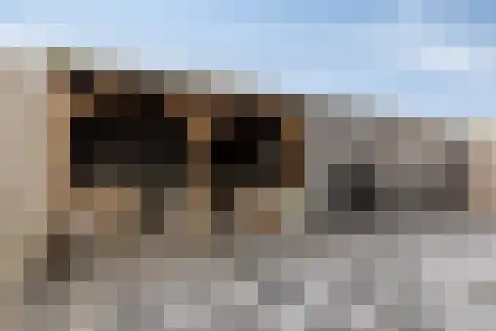 Molendijk 24 Nieuwe-Tonge thumbnail 4