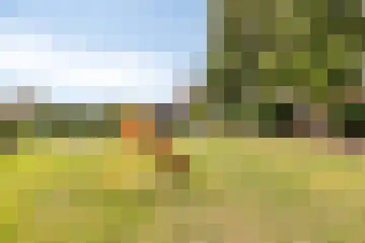 Molendijk 24 Nieuwe-Tonge thumbnail 40