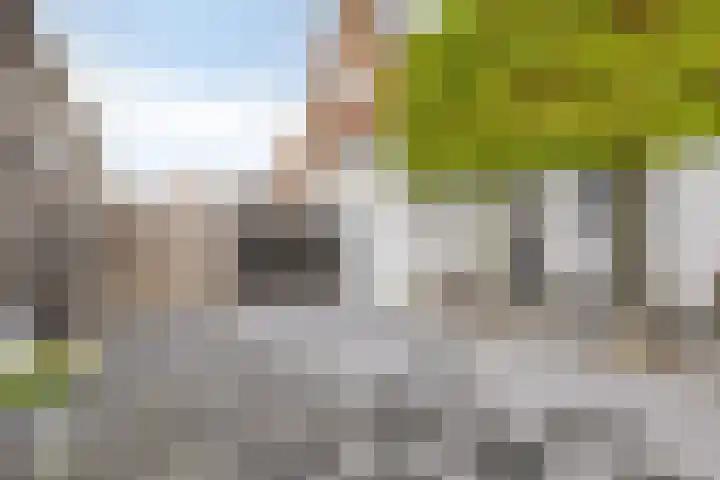 Molendijk 24 Nieuwe-Tonge thumbnail 5