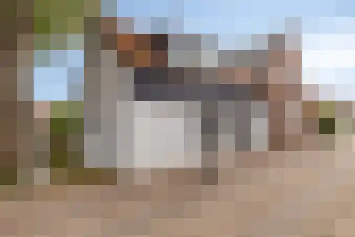 Molendijk 24 Nieuwe-Tonge thumbnail 6