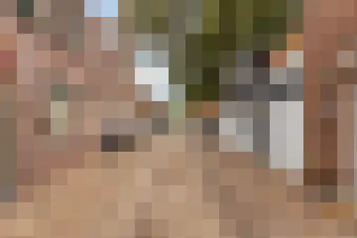 Molendijk 24 Nieuwe-Tonge thumbnail 7
