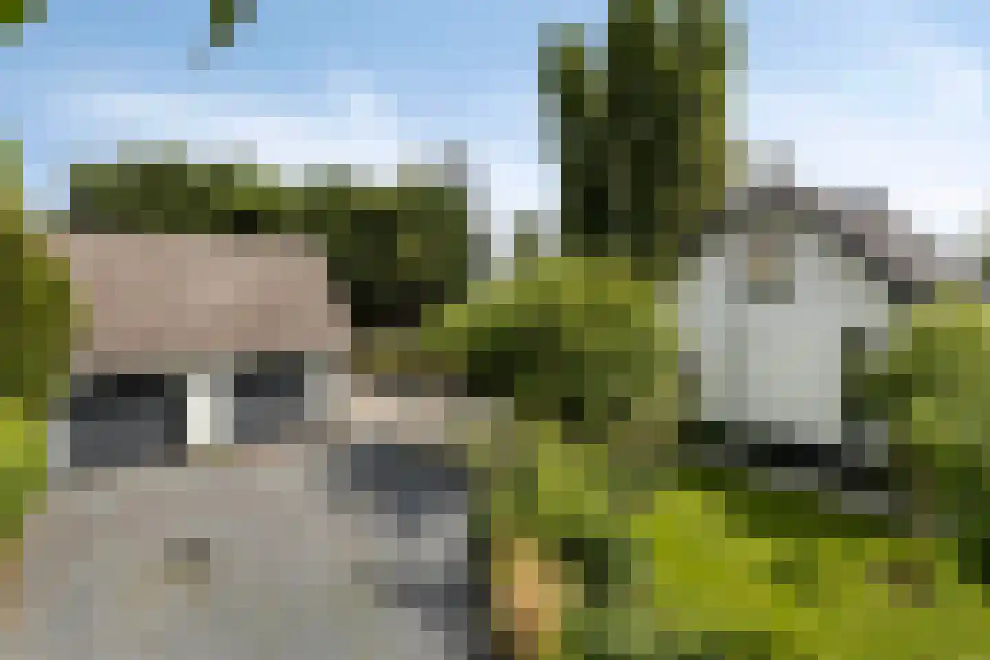 Molendijk 24 Numansdorp thumbnail 4
