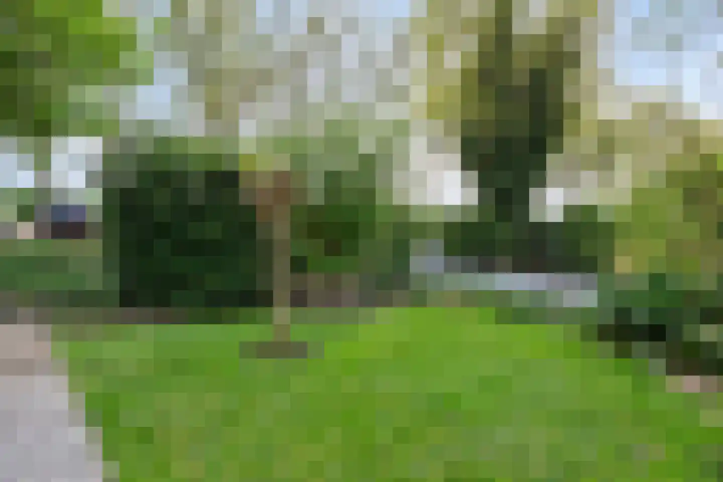 Molendijk 24 Numansdorp thumbnail 42