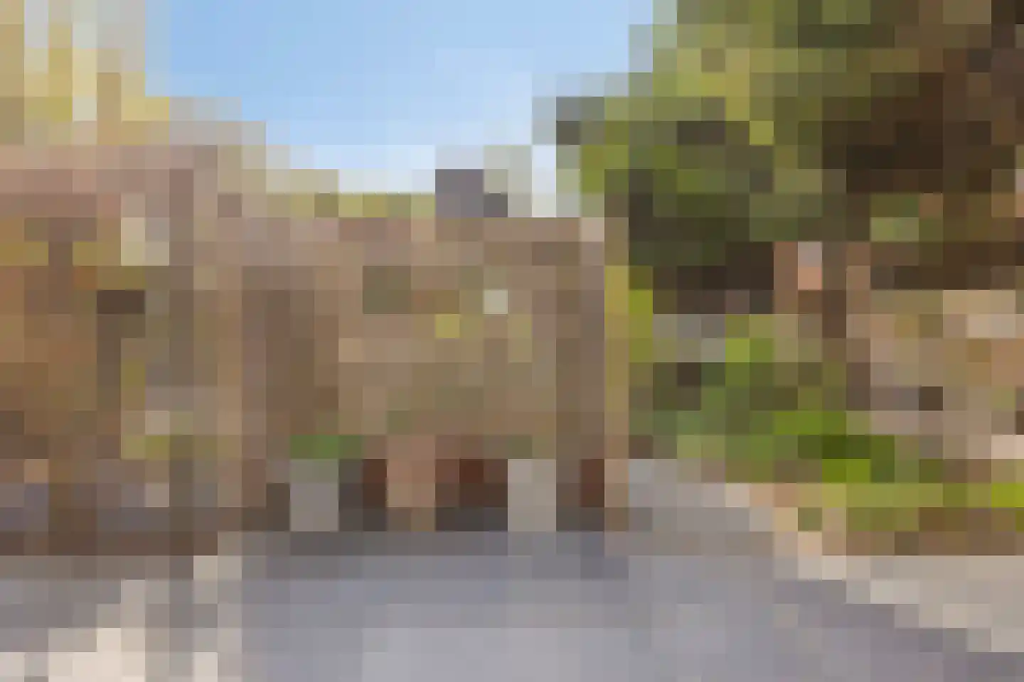 Molendijk 24 Numansdorp thumbnail 46
