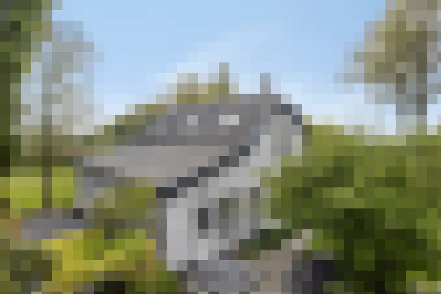 Molendijk 24 Numansdorp thumbnail 47