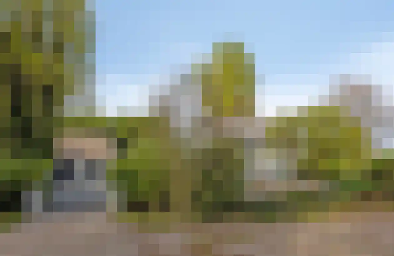Molendijk 24 Numansdorp thumbnail 7