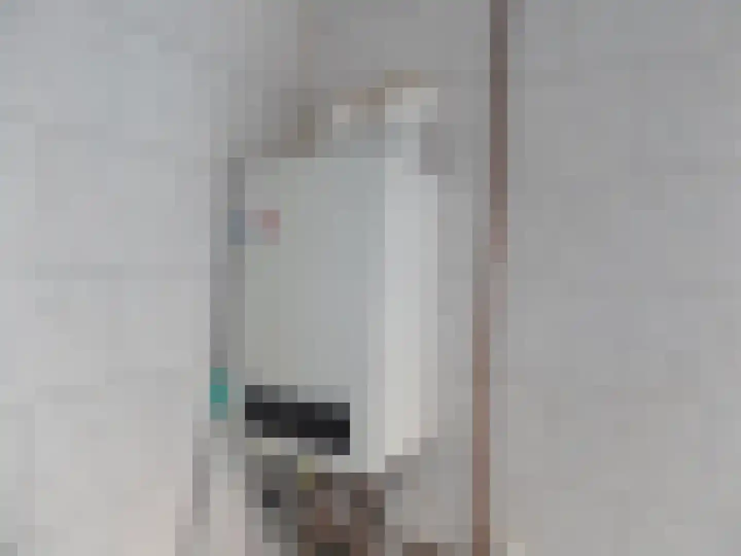 Molendijk 24 Stad aan 't Haringvliet thumbnail 12