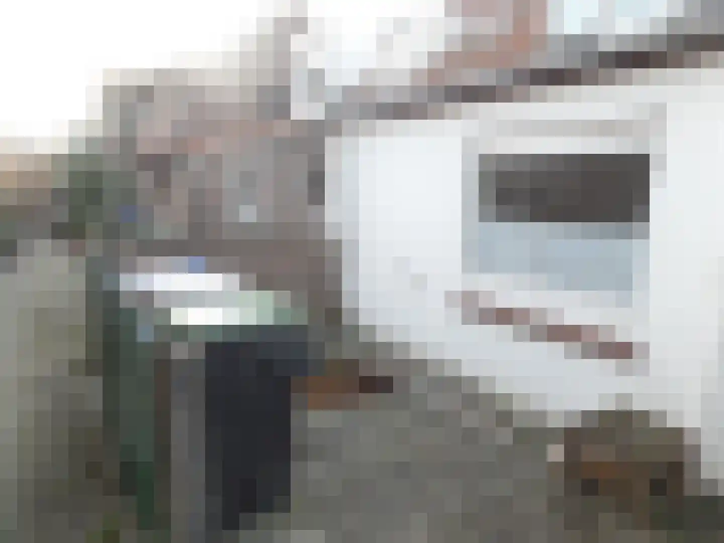 Molendijk 24 Stad aan 't Haringvliet thumbnail 17