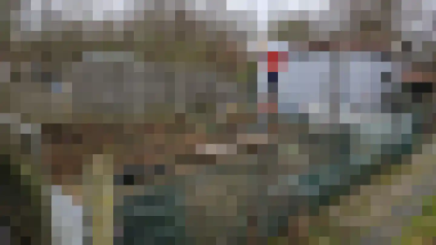Molendijk 24 Stad aan 't Haringvliet thumbnail 19