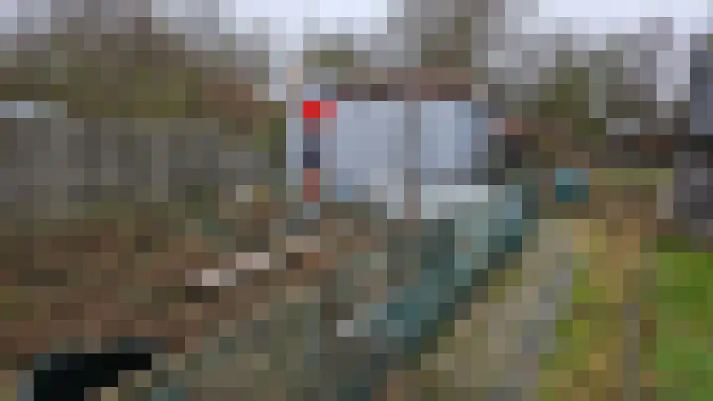 Molendijk 24 Stad aan 't Haringvliet thumbnail 20