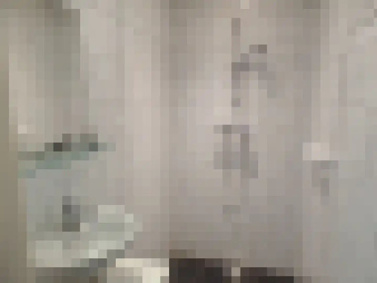 Molendijk 24 Stad aan 't Haringvliet thumbnail 6