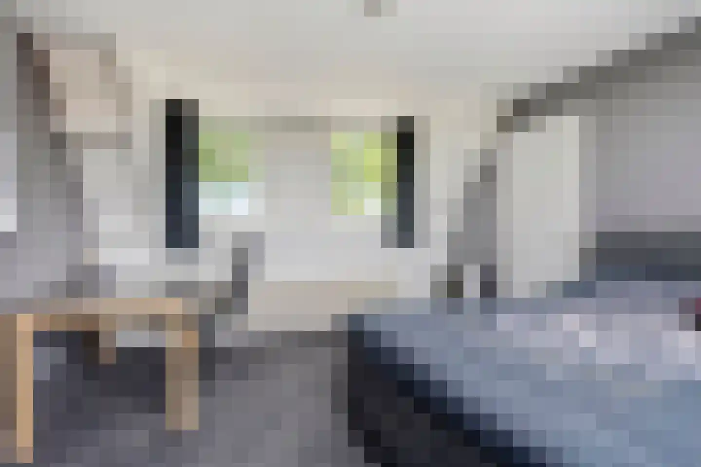 Molendijk 26 Nieuw- en Sint Joosland thumbnail 32