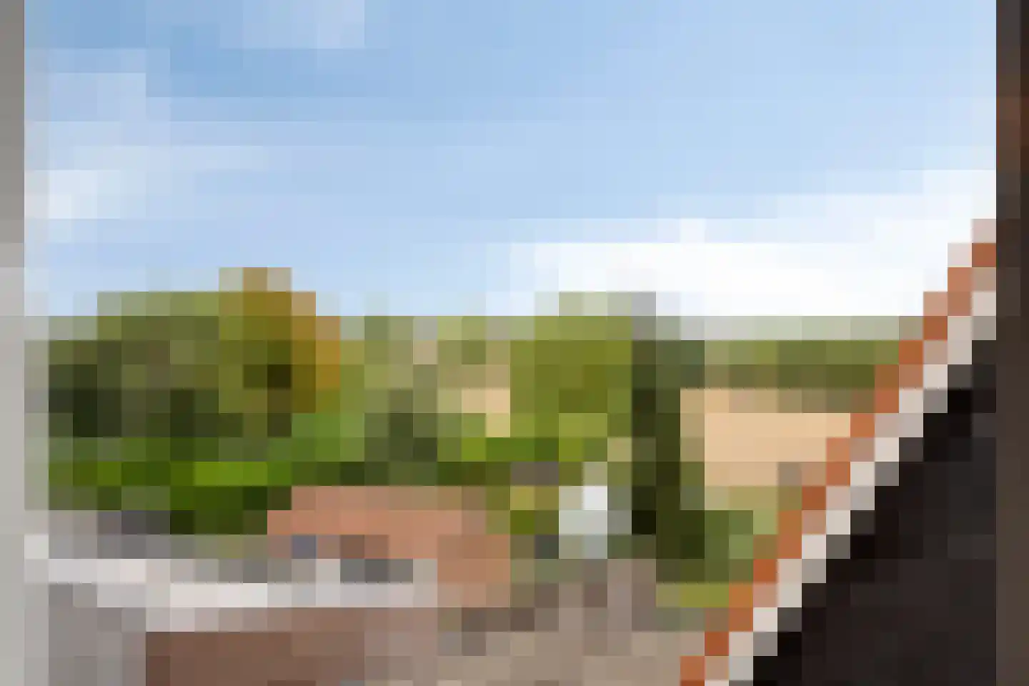 Molendijk 26 Nieuw- en Sint Joosland thumbnail 33
