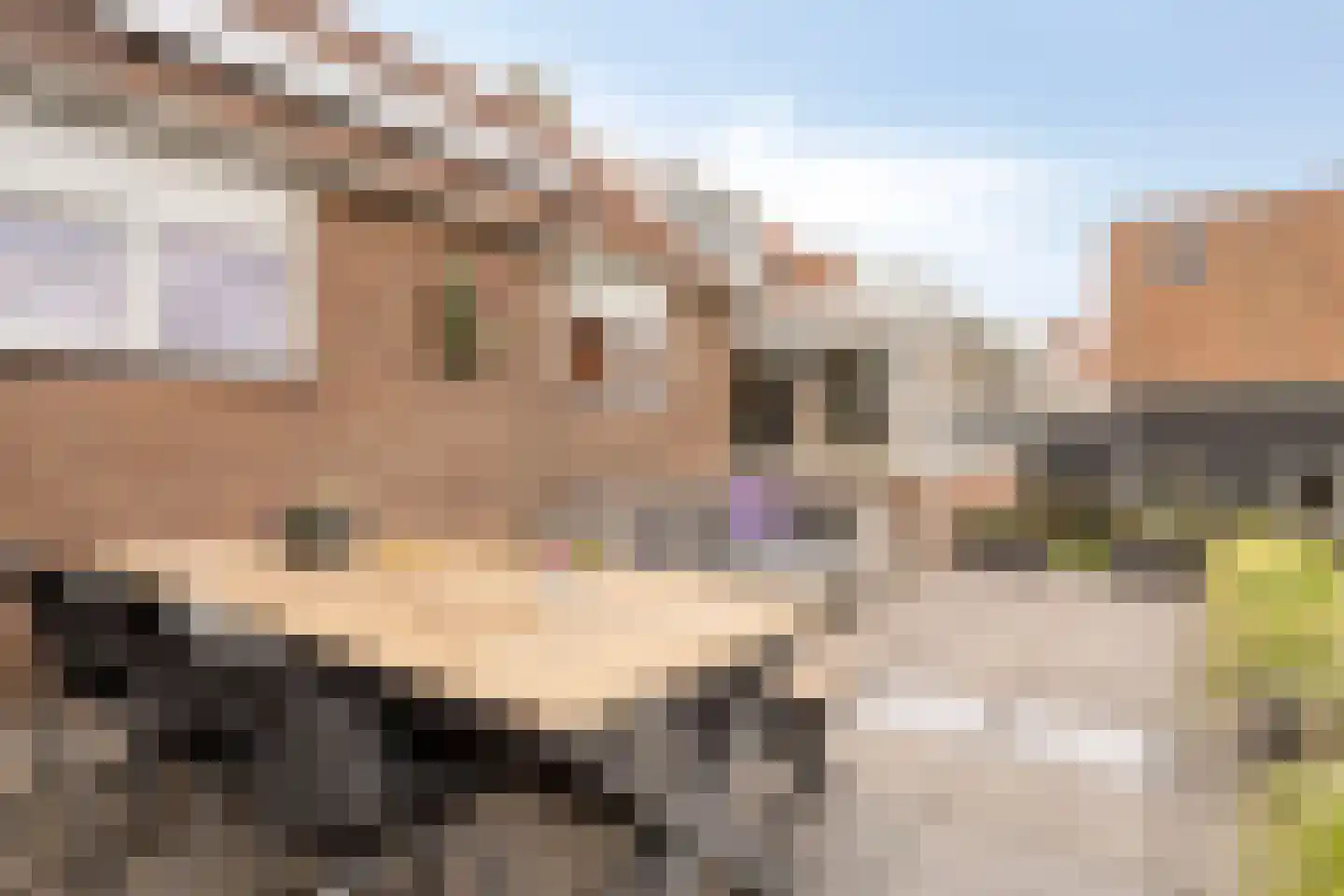 Molendijk 26 Nieuw- en Sint Joosland thumbnail 36