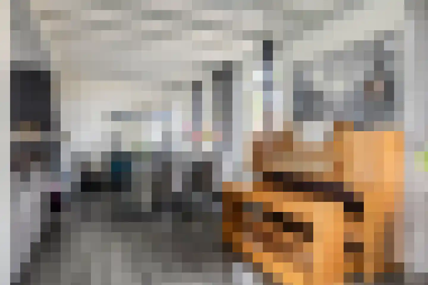 Molendijk 26 Nieuw- en Sint Joosland thumbnail 9