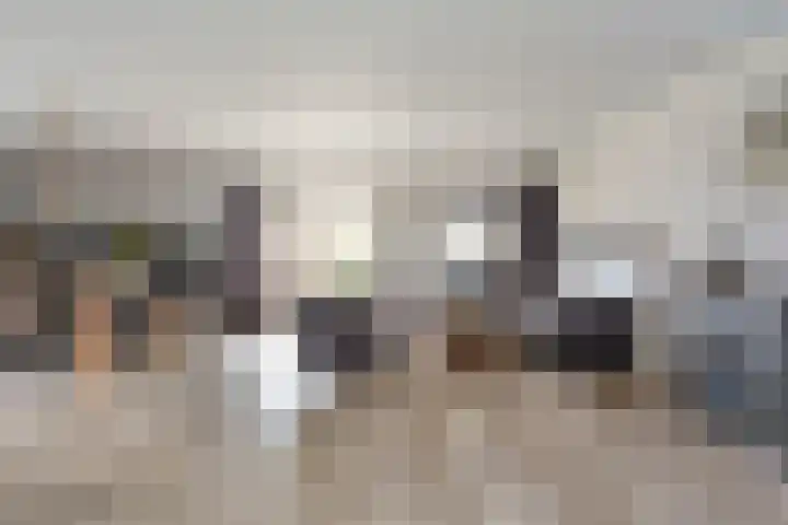 Molendijk 28 Nieuw- en Sint Joosland thumbnail 6
