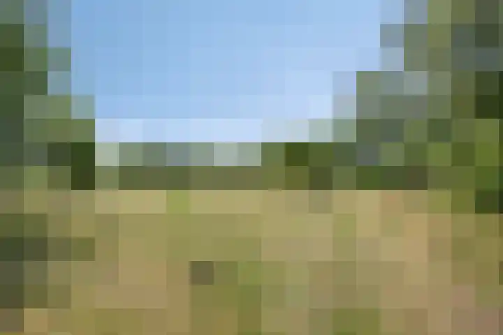 Molendijk 3 Oud-Vossemeer thumbnail 30