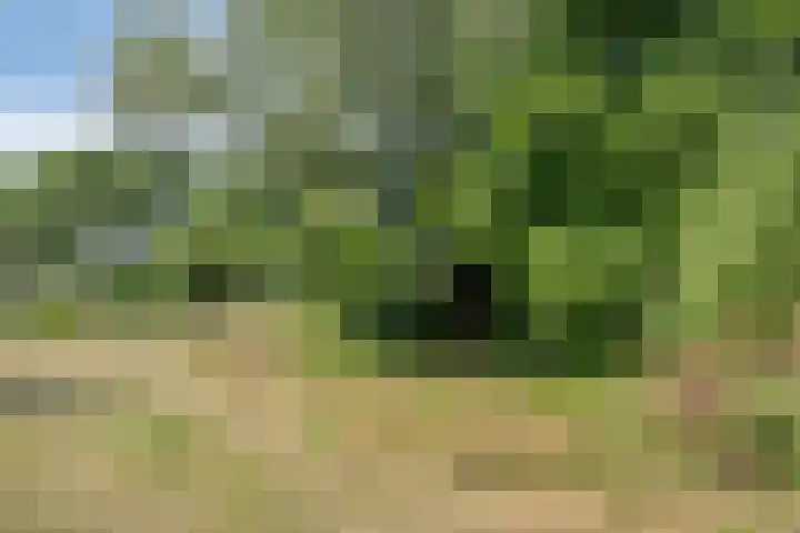 Molendijk 3 Oud-Vossemeer thumbnail 31