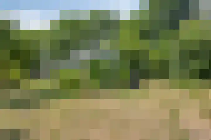 Molendijk 3 Oud-Vossemeer thumbnail 32