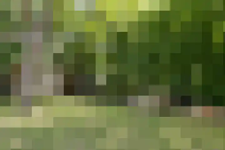 Molendijk 3 Oud-Vossemeer thumbnail 34
