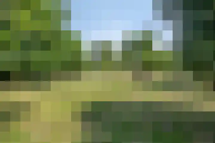 Molendijk 3 Oud-Vossemeer thumbnail 35