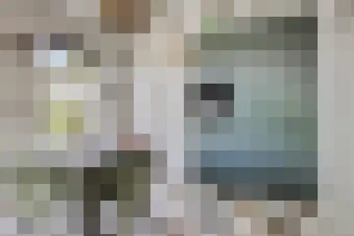 Molendijk 3 Oud-Vossemeer thumbnail 4