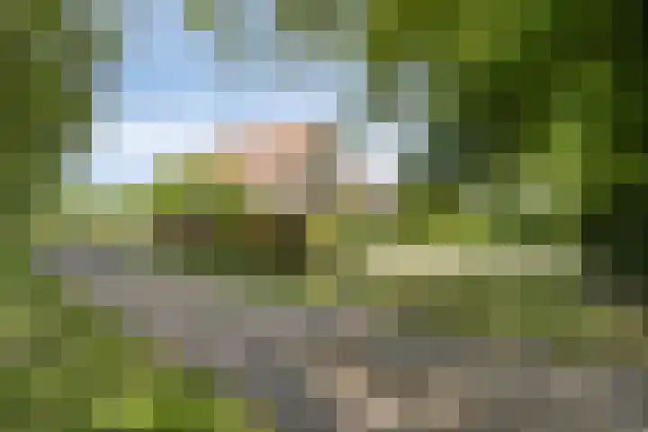 Molendijk 3 Oud-Vossemeer thumbnail 42