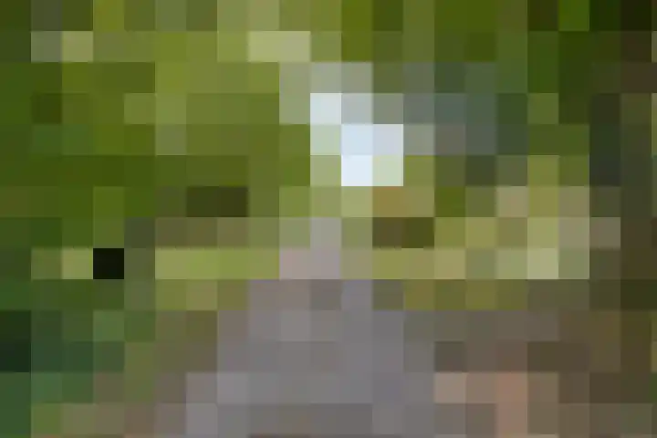 Molendijk 3 Oud-Vossemeer thumbnail 43