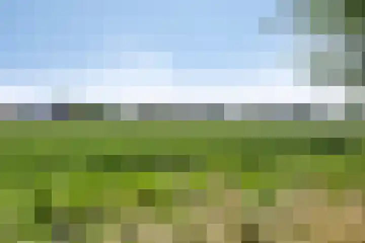 Molendijk 3 Oud-Vossemeer thumbnail 44
