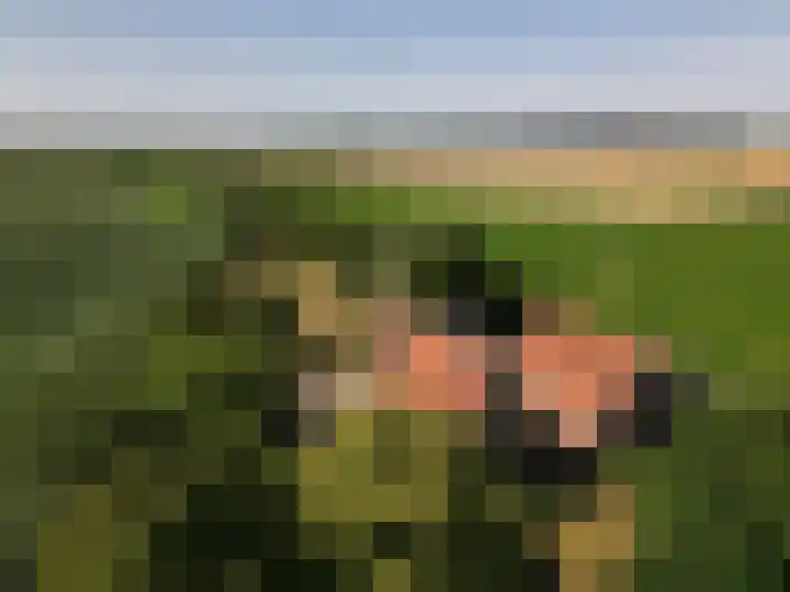 Molendijk 3 Oud-Vossemeer thumbnail 45