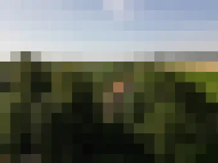 Molendijk 3 Oud-Vossemeer thumbnail 48